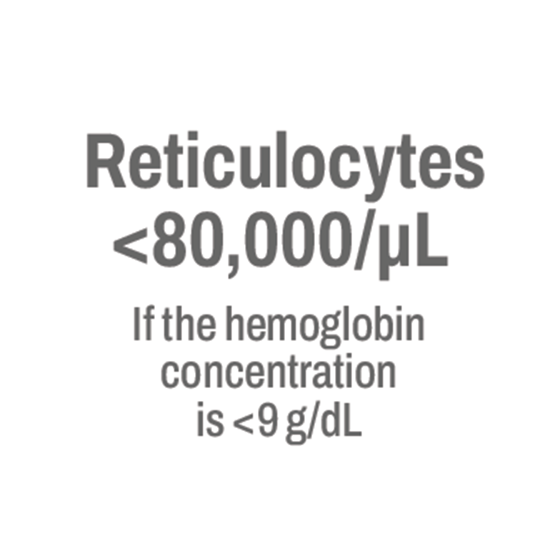 Reticulocytes